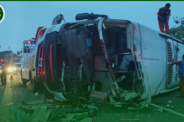 Tragis: Kecelakaan Bus PO Handoyo Tewaskan 12 Orang di Tol Cipali